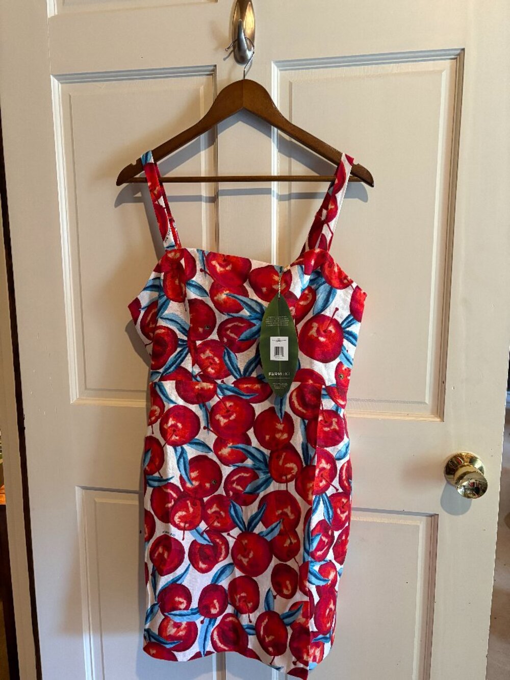 NWT Farm Rio cherry blossom sleeveless mini dress Size L